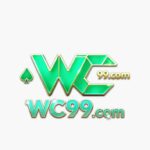 wc99.com game